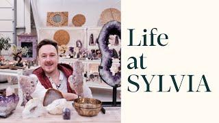 Life at SYLVIA: January