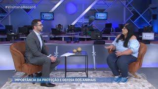 Importância da proteção e defesa dos animais