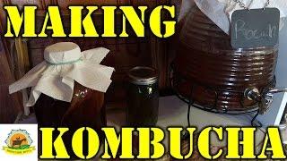 Making Kombucha Tutorial