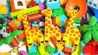 Satisfying Building Blocks Marble Run ASMR Course of three giraffes Koalas also come out