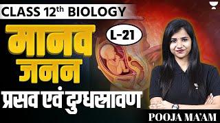 Class 12 Biology | मानव जनन | प्रसव एवं दुग्धस्रावण | L 21 | By Pooja Ma'am