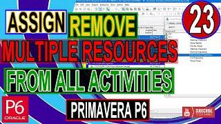 How to Assign or to Remove Multiple Resources From Multiple or all Activities in Primavera P6 | Tips