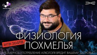 Алкоголь и его последствия: физиология похмелья. Антон Захаров