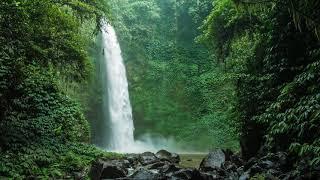 Waterfall | Nature Stock Footage | No Copyright | Motion Background Loop