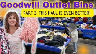 I Have A New BINS Strategy! ~ Pay By The Pound ~ Goodwill OUTLET BINS HAUL~ Thrift With Me To Resell