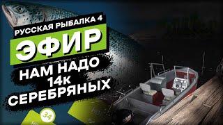 Ищу клев на Архипе - Русская Рыбалка 4 Стрим / Трансляция / Прямой эфир