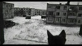 1 Hour of Post Punk Instrumental & Cold Wave (by Russian Sadness)