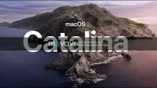 Apple Releases First Public Beta of mac OS Catalina, Here's How to Install It