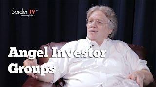 What is the importance of angel investor groups? by David S. Rose, Author of Angel Investing