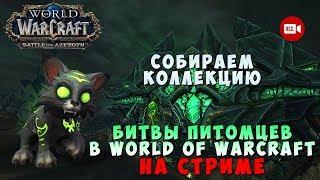 Битвы питомцев в World of Warcraft на стриме