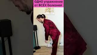 Одно упражнение от ВСЕХ Болезней / Цигун