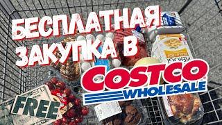 Бесплатная закупка продуктов в Костко в Америке // цены на продукты в Сostco // Влог США