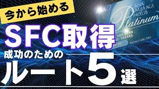 【SFC修行 ANA】残り半年！十分間に合うSFC修行！楽しんで行こう