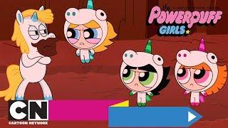 Die Powerpuff Girls | Aufregung im Einhornland (Ganze Folge) | Cartoon Network