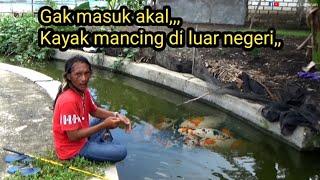 Ediaaann,, kayak mancing di selokan Japan,,isinya ikan hias semua