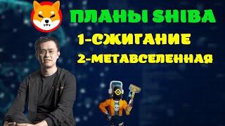 РАЗРАБОТЧИК SHIBA INU ОТВЕТИЛ ПРО СЖИГАНИЕ И МЕТАВСЛЕННУЮ