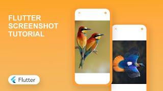 Flutter Screenshot Tutorial | Capture and Save Screens in Flutter