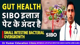 Gut health//SIBO //IBS //SIBO इलाज पेट के अंदर है