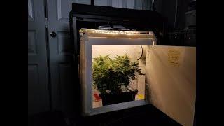 PC Grow Box V.2 - Growing Dwarf Auto Cannabis in a Computer!