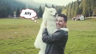 Alex & Alfy