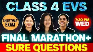 Class 4 EVS Christmas Exam | Final Marathon | Exam Winner