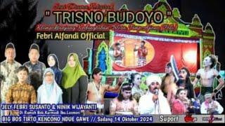 Live Ketoprak Trisno Budoyo Ds Sadang Sonorejo - Kec Padangan Kab Bojonegoro Senin 14 Oktober 2024