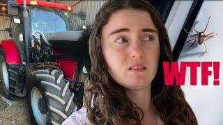 Big Tractors and Bigger Spiders: Life on an Australian Farm