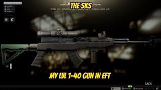 The SKS my LVL 1-40 Gun in Tarkov