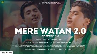 Meray Watan Ye Aqeedatein 2.0 | Hammad Ali | 14 August Song