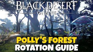 Polly's Forest Rotation Guide | Black Desert Online