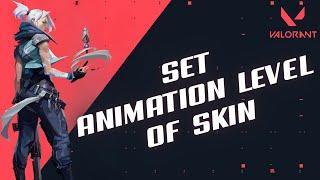 How to Set Animation Level of Skin in Valorant in 2024?
