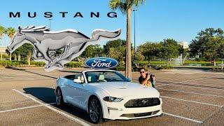 RETURN OF THE LEGEND MUSTANG WITH STEVE SAHIN