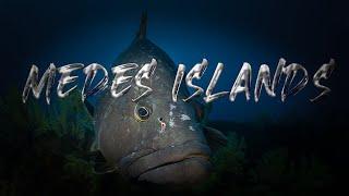 Medes Islands diving