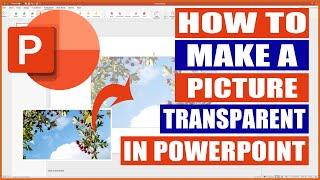 How to make a Picture Transparent in Powerpoint | Microsoft Tutorials