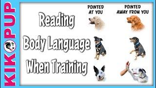 How to Read Your Dog's Body Language When Training