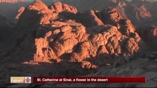 St. Catherine at Sinai, a flower in the desert