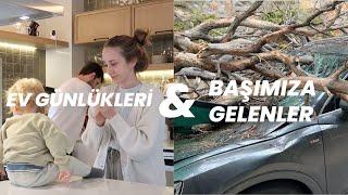 BAŞIMIZA GELENLER! ATLAS YÜRÜYOR #BODRUMGÜNLÜKLERİ