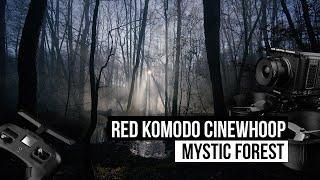 Red Komodo 6K FPV drone