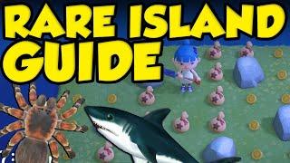 ANIMAL CROSSING RARE ISLAND GUIDE! How To Get Tarantula Island, Bell Island, and Shark Island!