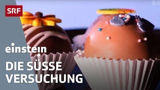 Zucker – wie gefährlich ist er für uns und warum schmeckt er uns so gut | Einstein | SRF Wissen