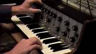 Steiner Parker Synthacon (with RC-20 Loop Station) live 2