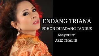 Endang Triana - Pohon di padang Tandus - Official Video Music