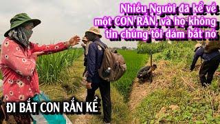 Sự thật về một "CON RẮN KỂ" | TGSB #1050