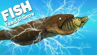 *NEW* GIANT ELECTRIC EEL IS INSANELY POWERFUL! | Feed and Grow Fish