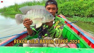 UNTUNG JORAN KUAT!! rekor terbaru mancing nila babon 2024