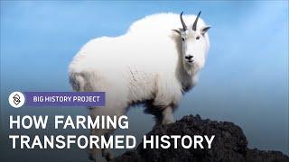 Why Was Farming So Important? | Big History Project