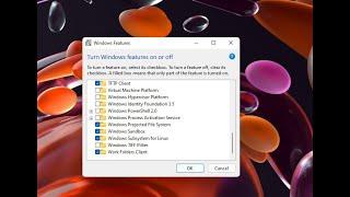 How to Enable Windows Sandbox on Windows 11