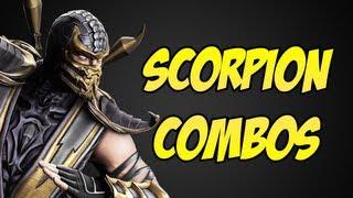 Mortal Kombat 9 - Scorpion Combo Video