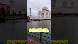 Taj Mahal Under Threat? Water leakage in main dome, Iconic Garden Completely Submerged