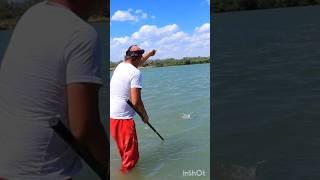 Мощная ПОКЛЕВКА на закидушку! #fishing #рыбалка #shorts #short #shortvideo #shortsvideo